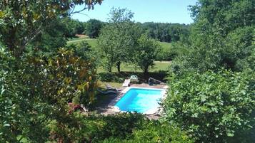Una piscina rodeada de abundante vegetación y árboles.