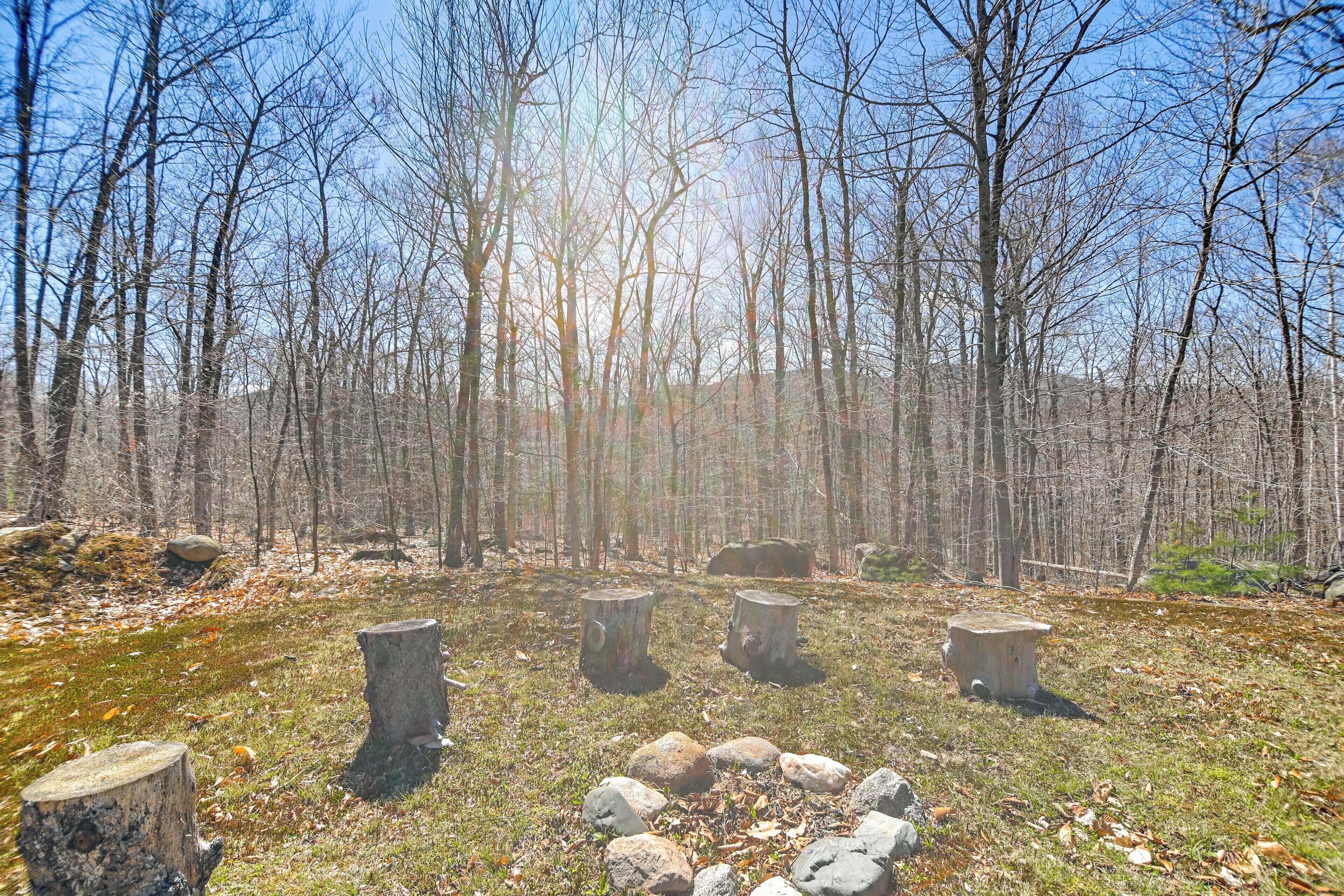 A forest clearing with a stone fire pit surrounded by tree stumps and rocks.