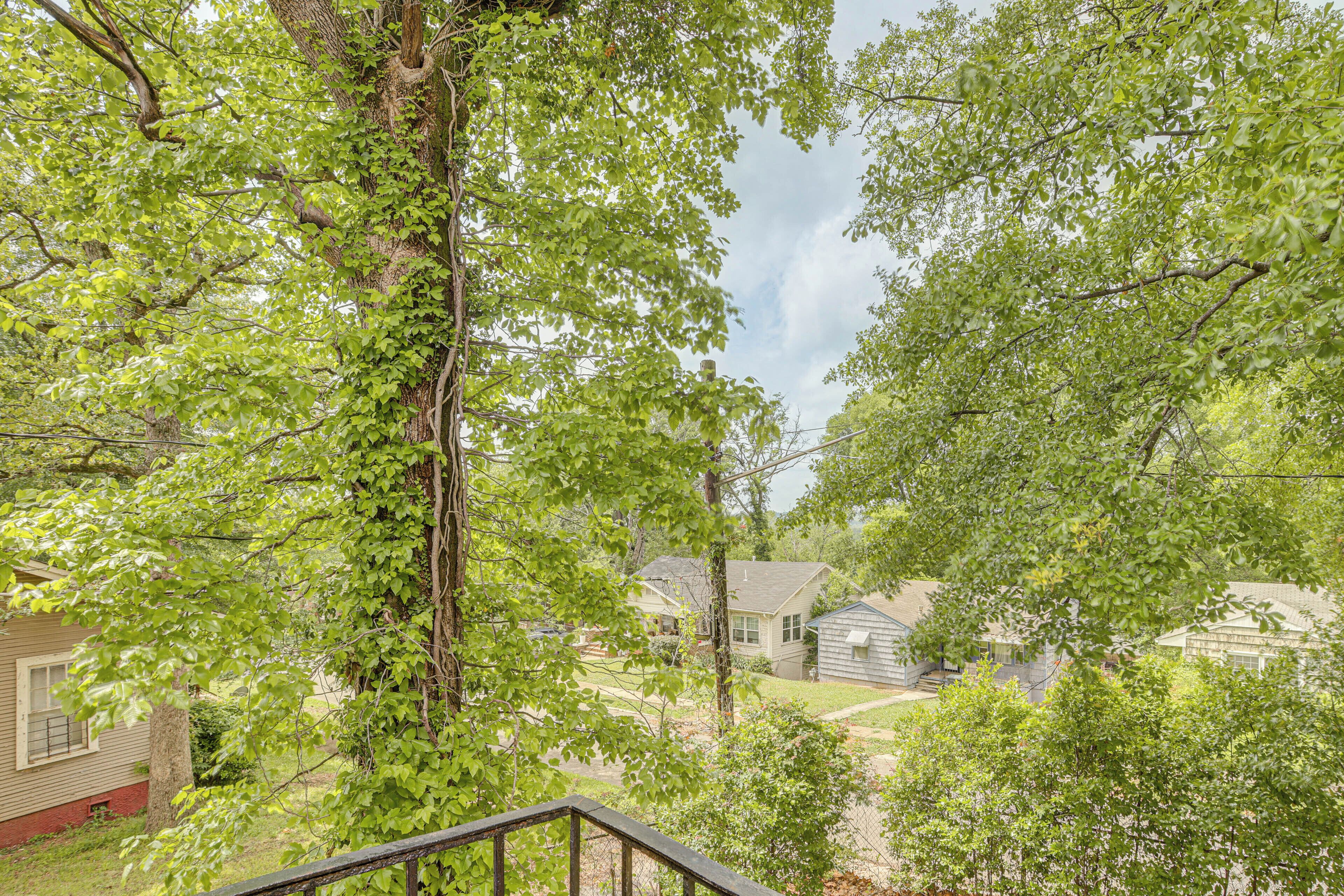 A residential area with a house, a tree with ivy, and a clear sky.