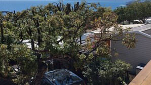 Une voiture garée, un arbre et une vue sur la mer et les montagnes lointaines.