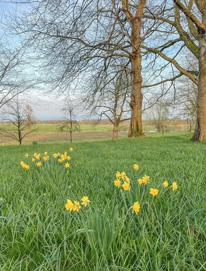 Property grounds - Historic Villa in North Frisia (Ostenfeld)