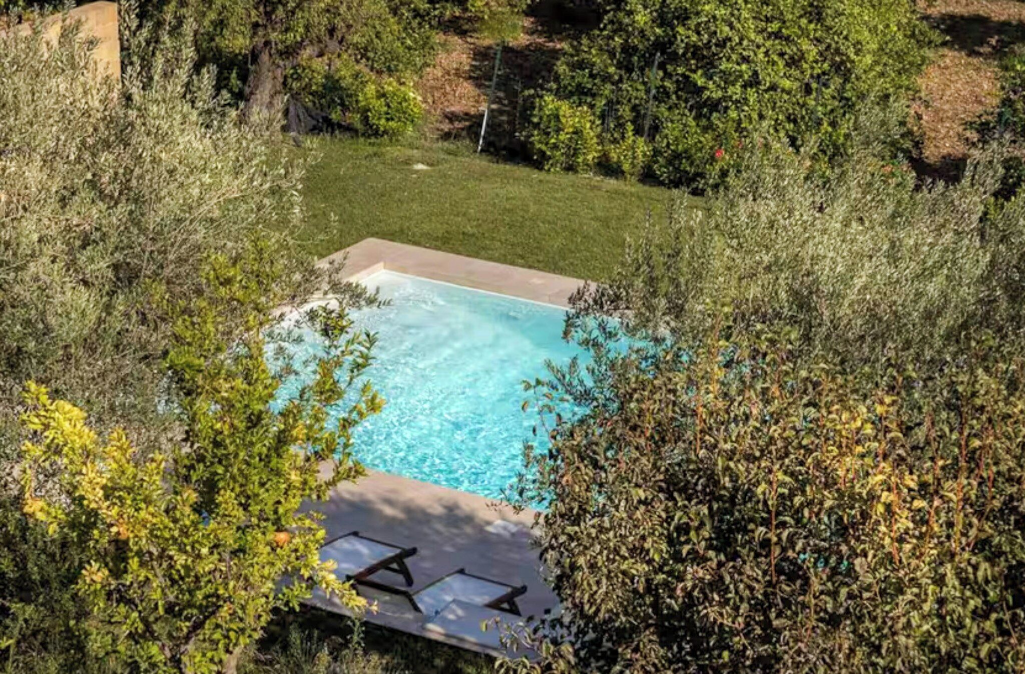 A rectangular swimming pool surrounded by lush greenery, with a deck area and lounge chairs.