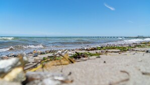 Una playa con olas, algas marinas y un muelle a lo lejos.