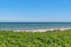A beach with a pier extending into the water, greenery in the foreground, and a clear sky.