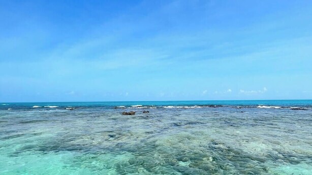 A beach with clear water and rocks. - Gamboa Oasis Patacho 180m from the beach on the Ecological Route of Miracles (Porto de Pedras)