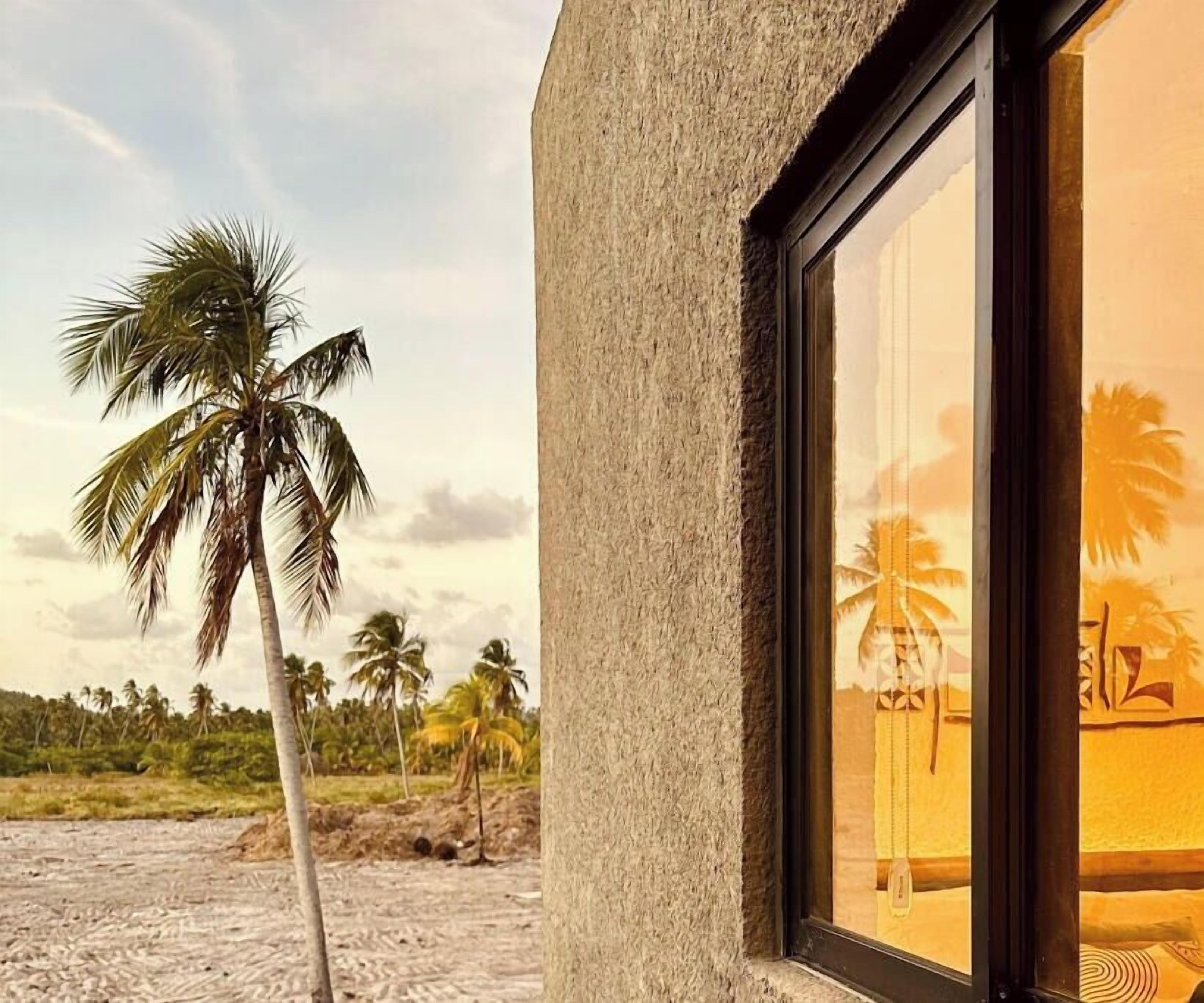 A building with a textured facade and a large window reflecting palm trees and a sunset.