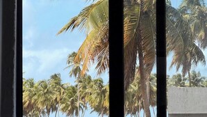 A view through a window with palm trees outside. - Gamboa Oasis Patacho 180m from the beach on the Ecological Route of Miracles (Porto de Pedras)