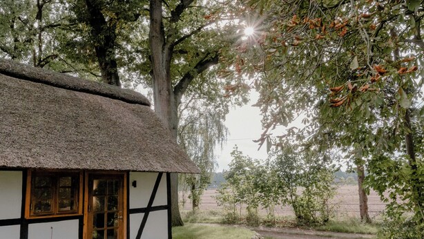 Ein traditionelles Reetdachhaus mit Holztür und -fenstern, umgeben von einer grünen Wiese mit Bäumen und einer Steinmauer.