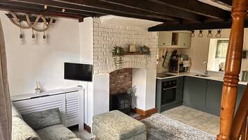 Smart TV, fireplace, books