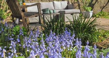 Little Green Cottage. Cosy cottage tucked away in heart of historic Dorchester