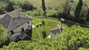 Un vignoble avec des terrasses, une maison avec un toit en tuiles et une petite structure ressemblant à une tour.