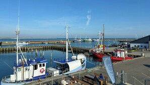 Een haven met aangemeerde boten, een pier en een gebouw met een bord.