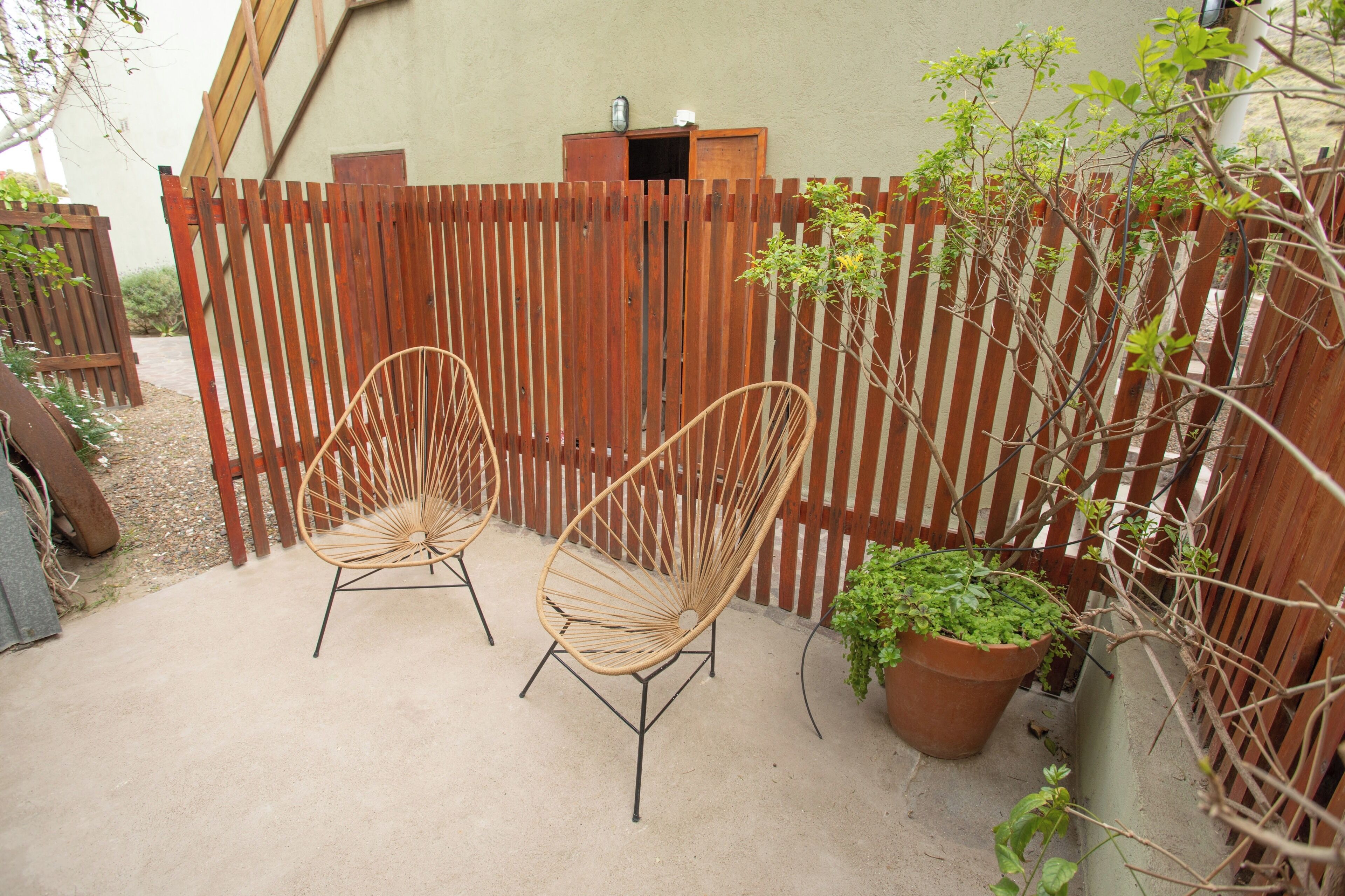A patio area with two wicker chairs, a wooden fence, and a potted plant.