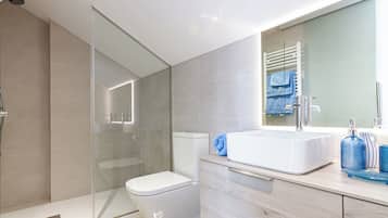 Shower, hair dryer, bidet, towels