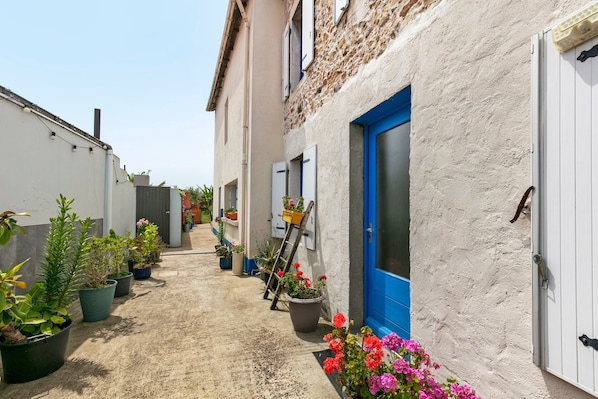 A narrow alley with potted plants and a blue door.
