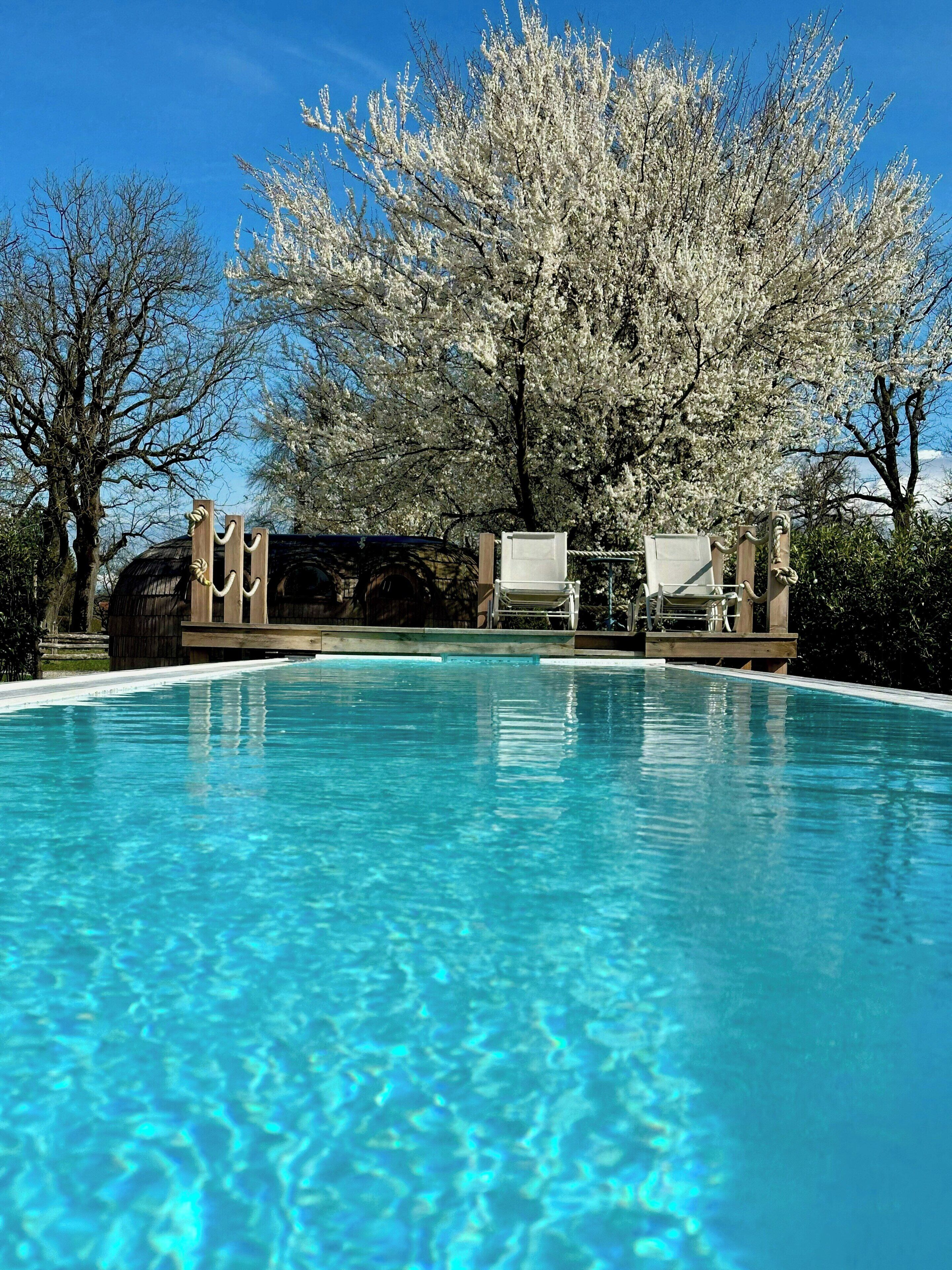 Ein klares Schwimmbecken mit einer Holzterrasse und Liegestühlen, umgeben von Bäumen mit weißen Blüten.