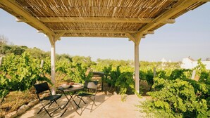 Ein überdachter Außenbereich mit einer Pergola, einem Tisch mit Stühlen und Blick auf einen Weinberg.