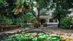 A garden with a pond, potted plants, and a building with a tiled roof.