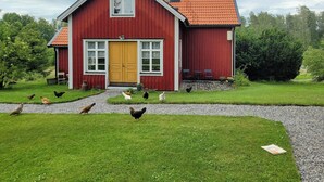 A red wooden house with a yellow door, a chimney, and a gravel path leading to the entrance.