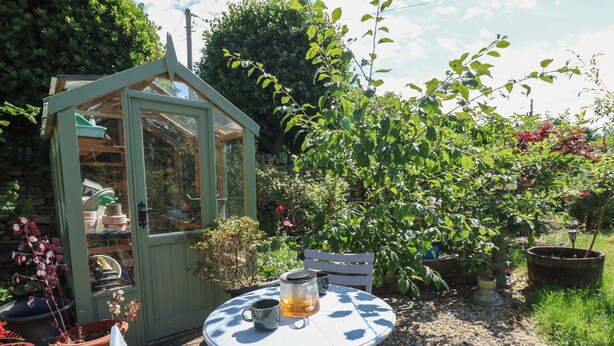 A garden with a small green greenhouse, a table with a mug and a glass, and a chair. - Banklands (Barnard Castle)