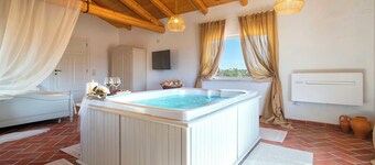 Luxury villa with heated pool in a vineyard
