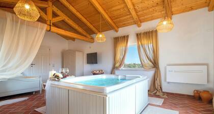 Luxury villa with heated pool in a vineyard