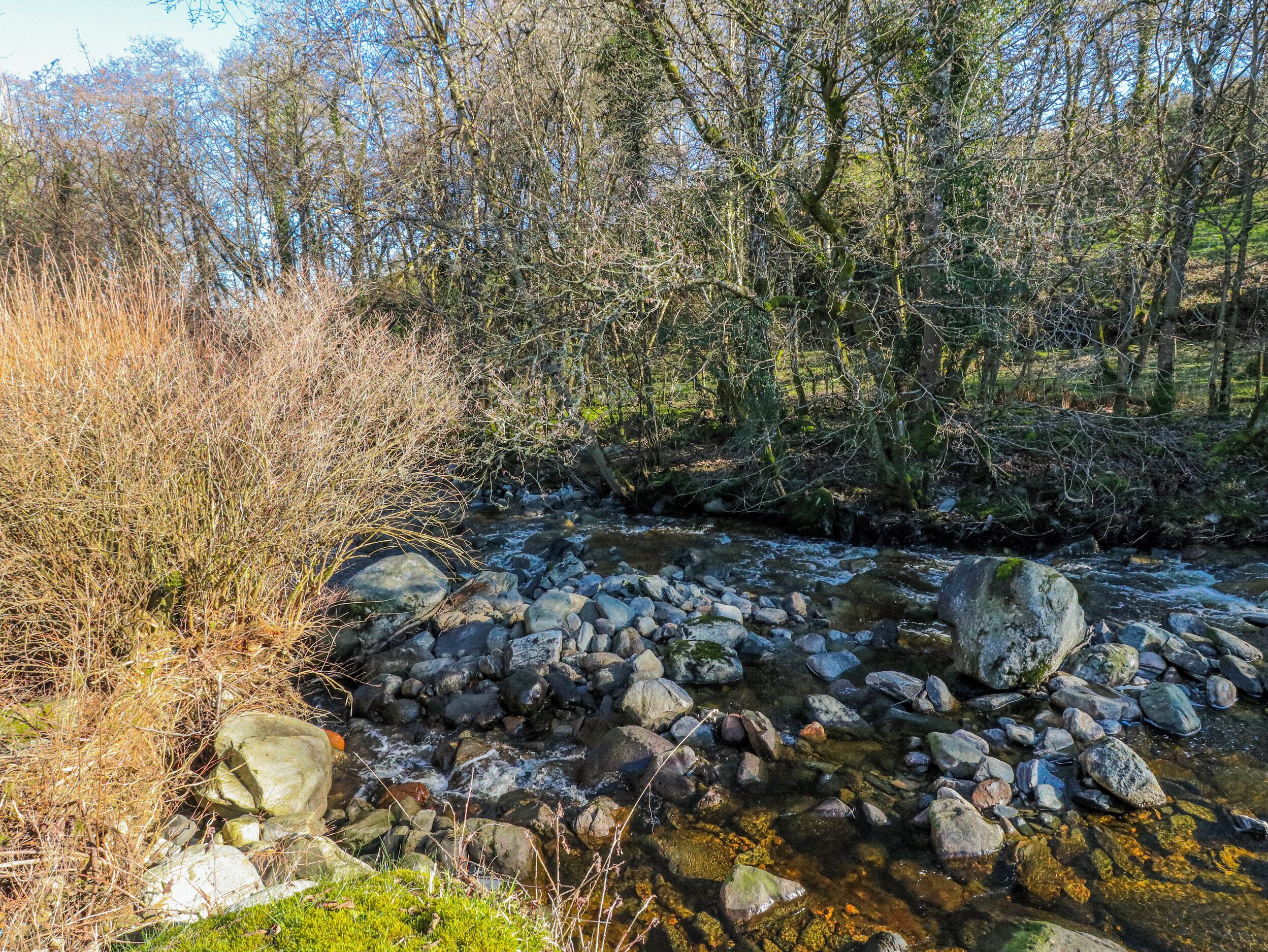 A natural stream with rocks and trees.