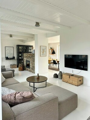 TV, fireplace - Summer house with sauna near the sea on Samsoe (Samsø)