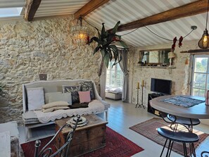 TV, fireplace - Historic Provence apartments near Nice and Cannes (Roquefort-les-Pins)
