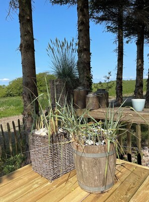 Property grounds - Nature-close home near beach at Limfjorden (Thyholm)