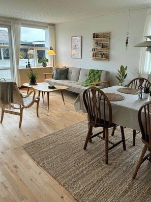 TV - House between Skagen's coasts and high street (Skagen)