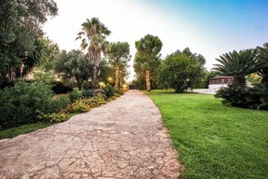 Property grounds - Villa with pool in the heart of Puglia (San Michele salentino)