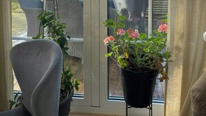 A room with a large window, wicker furniture, a potted plant, and a rug.