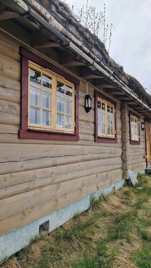 Exterior detail
