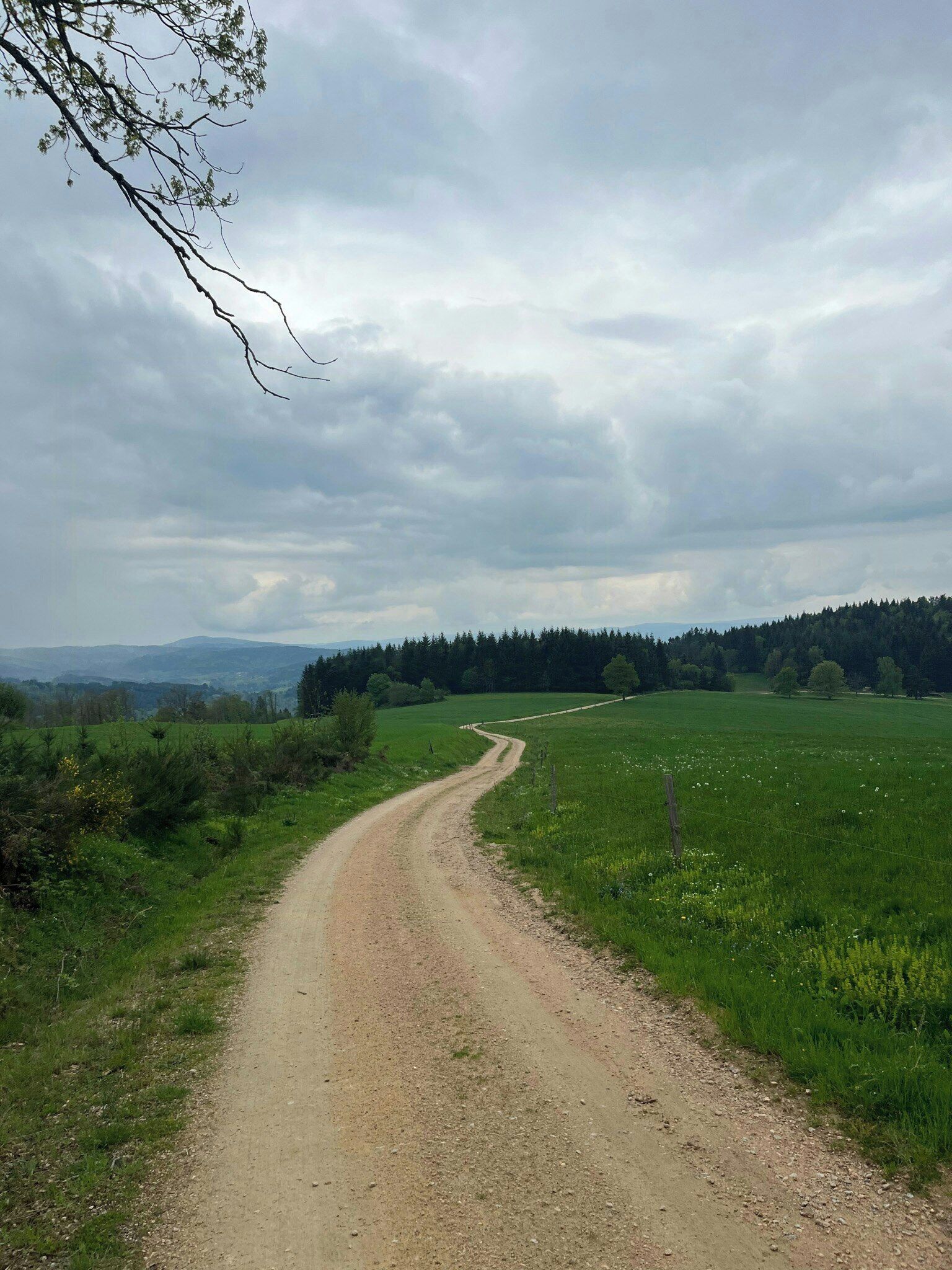 Un camino rural de tierra serpentea por campos verdes, con una colina boscosa en la lejanía.