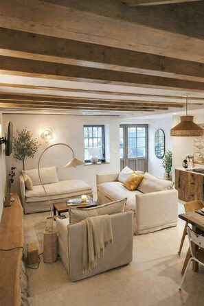 TV - Lakeside cottage near Aix-les-Bains (Conjux)