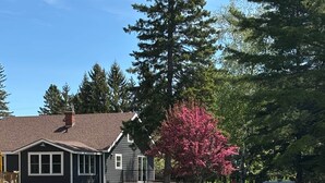 A residential house with a well-maintained lawn, a large tree with pink blossoms, and a clear blue sky.