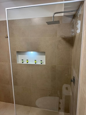 Shower, towels, toilet paper
