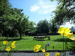 A park with a picnic table, green grass, and yellow flowers.