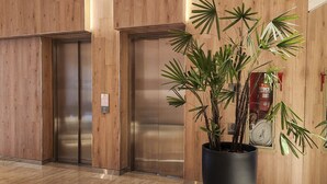 A lobby with wooden paneling, two elevators, and a large potted plant.