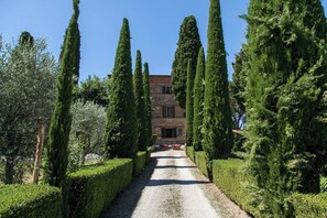 Property grounds - Noble villa with pool near Lucignano (LUCIGNANO)