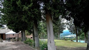 Un espace extérieur rustique doté d’une terrasse, d’un grand bac à plantes et offrant une vue sur une piscine et un paysage lointain.