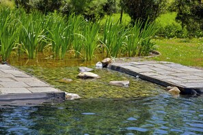 Property grounds - Historic villa in Tuscan Maremma with bio lake (Roccastrada)