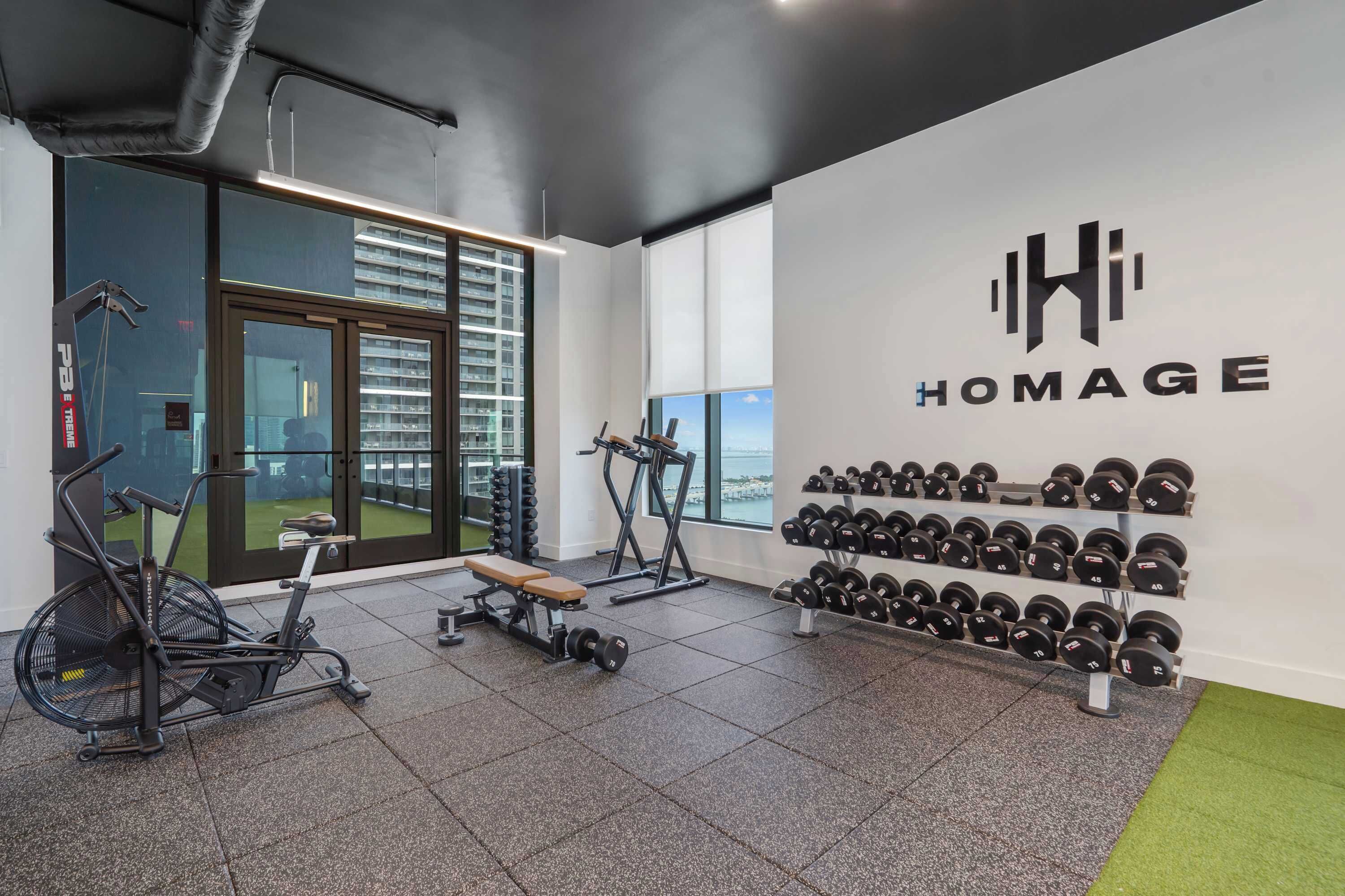 Ett gym med träningsutrustning, en bänk och ett väggmonterat ställ för hantlar.