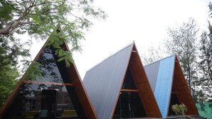 A modern building with triangular architecture, large glass windows, and a wooden exterior.