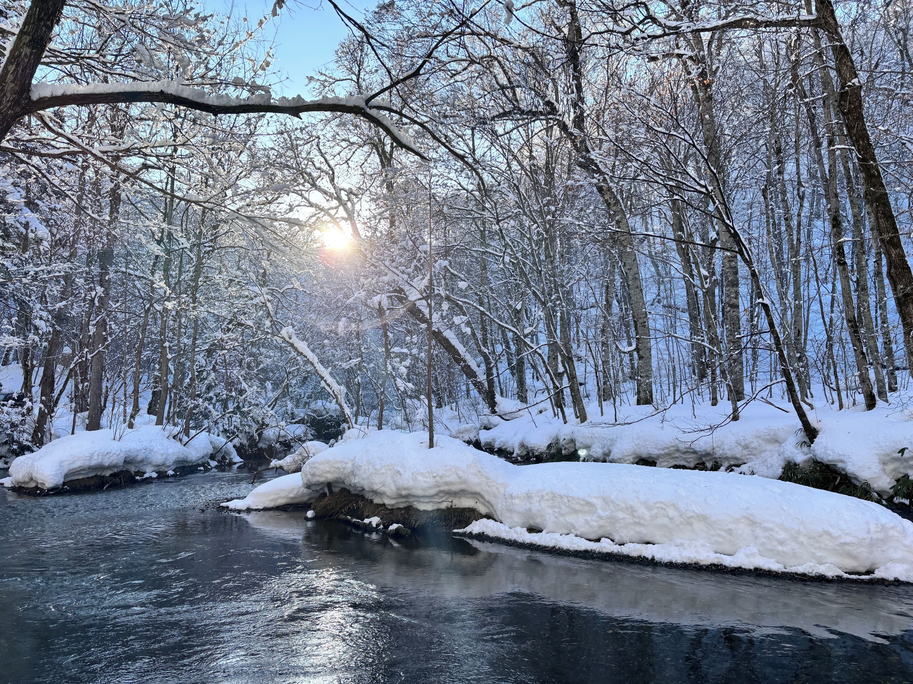 A snow-covered forest with a river, trees, and sunlight.