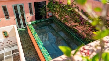 Seasonal outdoor pool, pool loungers