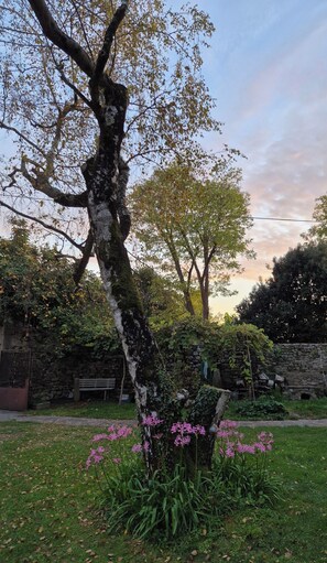 Property grounds - CA BASTIAN GUEST HOUSE, RELAXATION IN THE HEART OF FRIULI (Moruzzo)