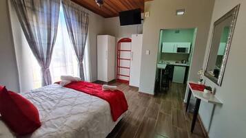 Camera da letto con un letto, tende, soffitto in legno, televisore, angolo cottura e uno specchio.