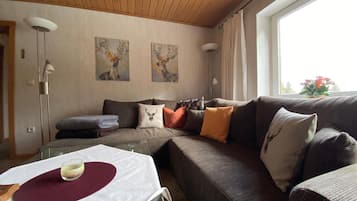 TV, fireplace, DVD player, stereo